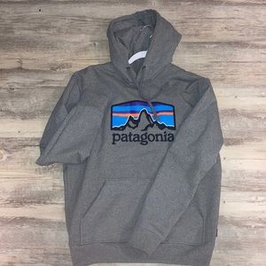 Patagonia hoodie Size Small